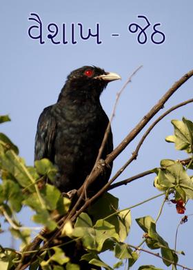 વૈશાખ-જેઠ