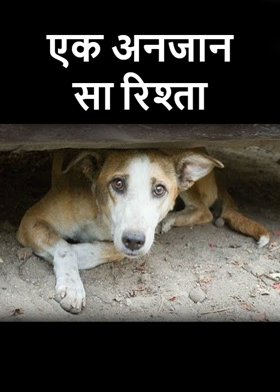 एक अनजान सा रिश्ता