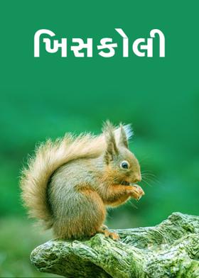 ખિસકોલી