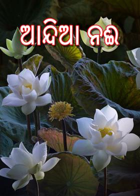 ଆନ୍ଦିଆ ନଈ