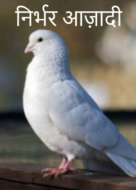 निर्भर आज़ादी