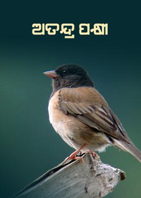 ଅତନ୍ଦ୍ର ପକ୍ଷୀ