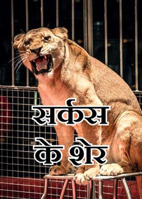 सर्कस के शेर