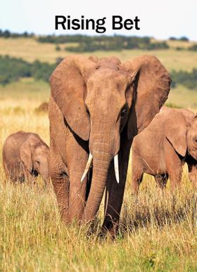 Rising Bet