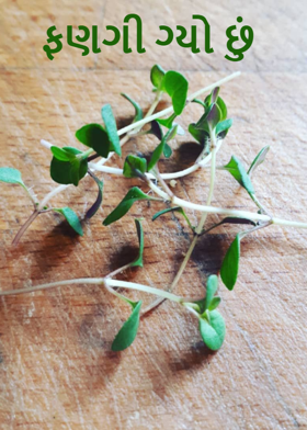 ફણગી ગ્યો છું