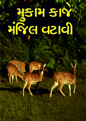 મુકામ કાજે મંજિલ વટાવી