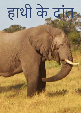 हाथी के दांत