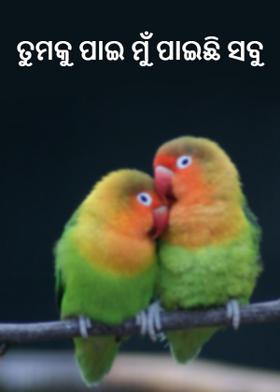 ତୁମକୁ ପାଇ ମୁଁ ପାଇଛି ସବୁ