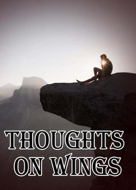 Thoughts On Wings