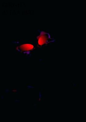 Ghostly Alexa Part Two