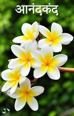 आनंदकंद