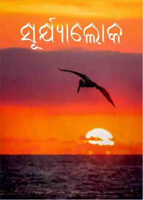 ସୂର୍ଯ୍ୟାଲୋକ