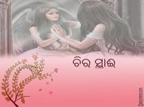 ଚିର ସ୍ଥାୟୀ