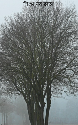 শিক্ষা নয় ছাতা