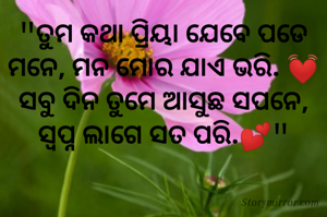 "ତୁମ କଥା ପ୍ରିୟା ଯେବେ ପଡେ ମନେ, ମନ ମୋର ଯାଏ ଭରି. 💓 ସବୁ ଦିନ ତୁମେ ଆସୁଛ ସପନେ, ସ୍ବପ୍ନ ଲାଗେ ସତ ପରି.💕"