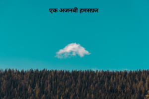 एक अजनबी हमसफ़र 