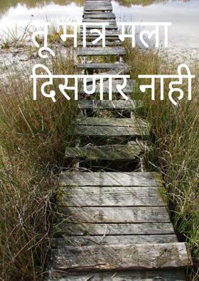 तू मात्र मला दिसणार नाही