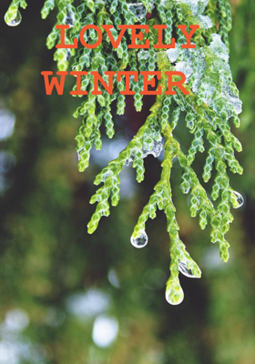 Lovely Winter