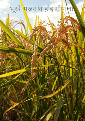 भूखे भजन न होइ गोपाला