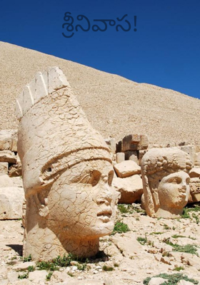 శ్రీనివాస