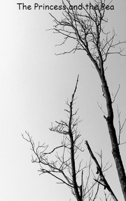 The Princess And The Pea