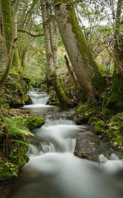 ದಾಟಿದ ನದಿ