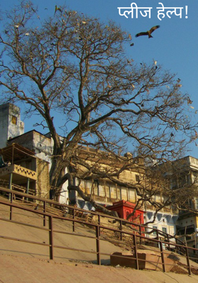 प्लीज हेल्प!