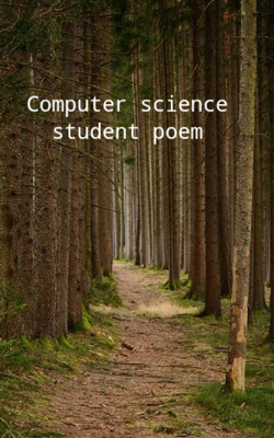 Computer science student poem