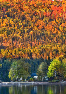 అర్థం పరమార్థం