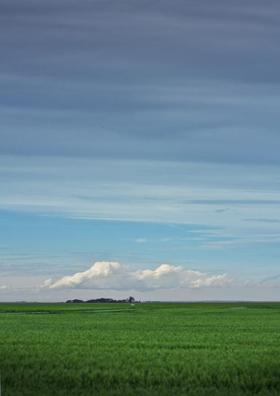 पर्जन्य