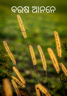 ବରଷ ଆନନେ