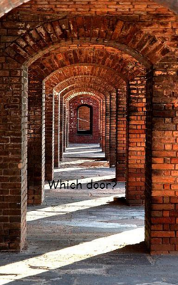 Which Door?