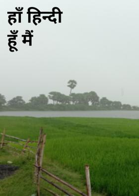 हाँ हिन्दी हूँ मैं