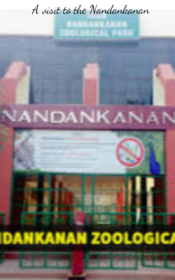 A Visit To The Nandankanan