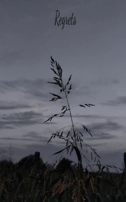 Regrets