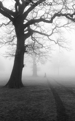 ଆଜି ଏ ଶୀତରେ