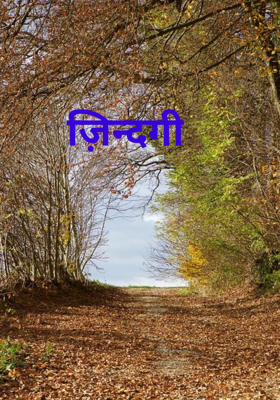 ज़िन्दगी