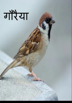 गौरैया