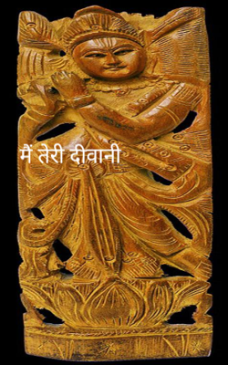 मैं तेरी दीवानी