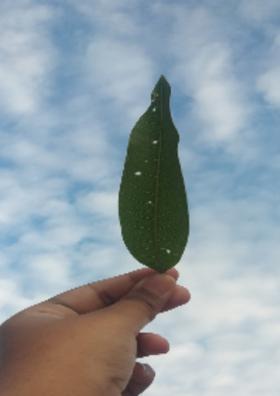 लम्हे जो बेताए यादगार