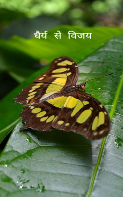 धैर्य से विजय