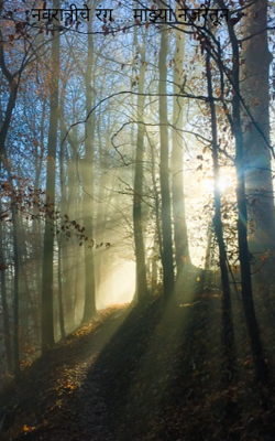 नवरात्रीचे रंग... माझ्या नजरेतून...