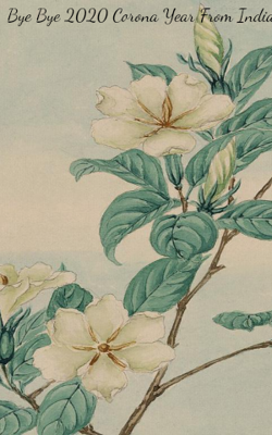 Bye Bye 2020 Corona Year From India