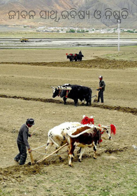 ଜୀବନ ସାଥି,ଭବିଷ୍ଯ ଓ ନିଷ୍ପତି