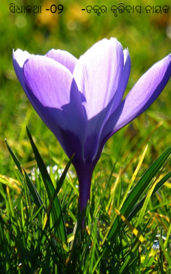 ସିଧାକଥା  ୯