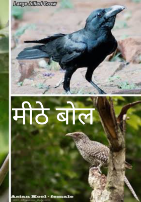 मीठे बोल