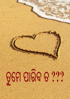 ତୁମେ ପାରିବ ତ ?