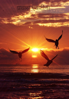 प्रवास एकटीचा