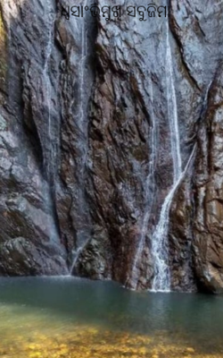 ଧ୍ୱସାଂଭିମୁଖୀ ସବୁଜିମା