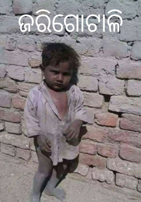 ଜରିଗୋଟାଳି